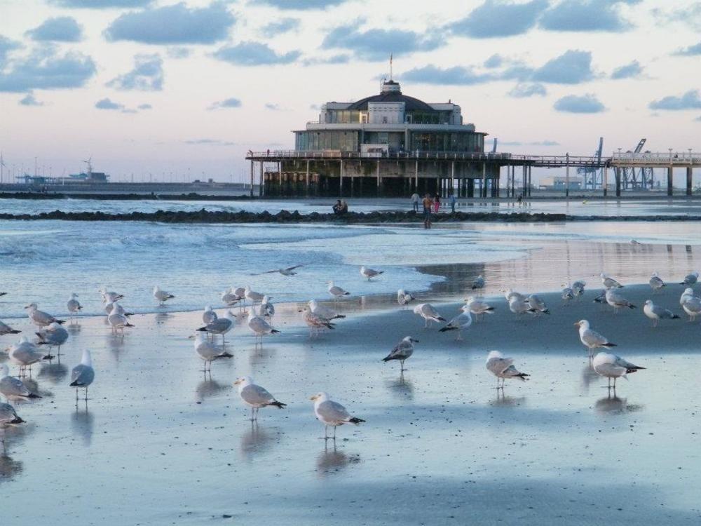 Seaside Blankenberge Hotel Exterior photo